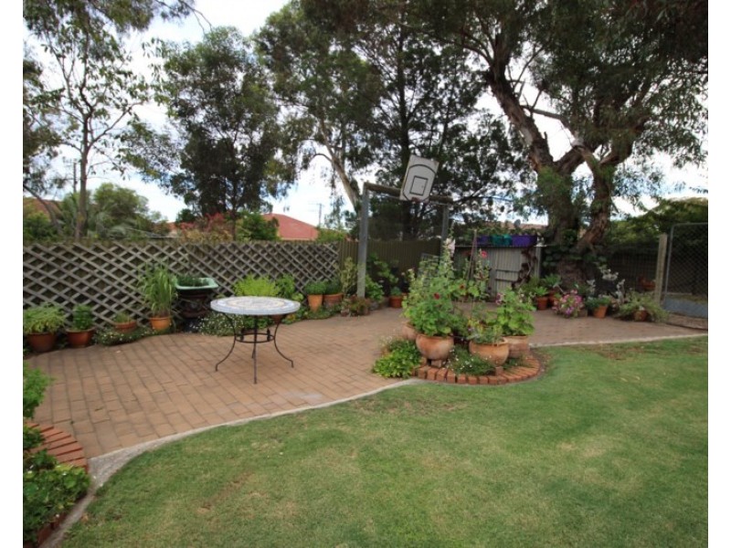 6 Webber Street, Waikerie SA 5330