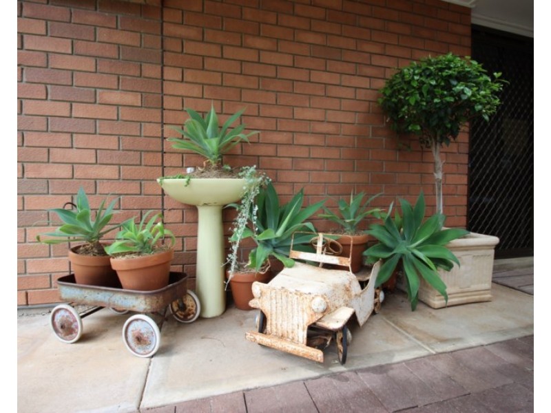 6 Webber Street, Waikerie SA 5330