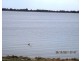 17 Queen Elizabeth Drive, Barmera SA 5345