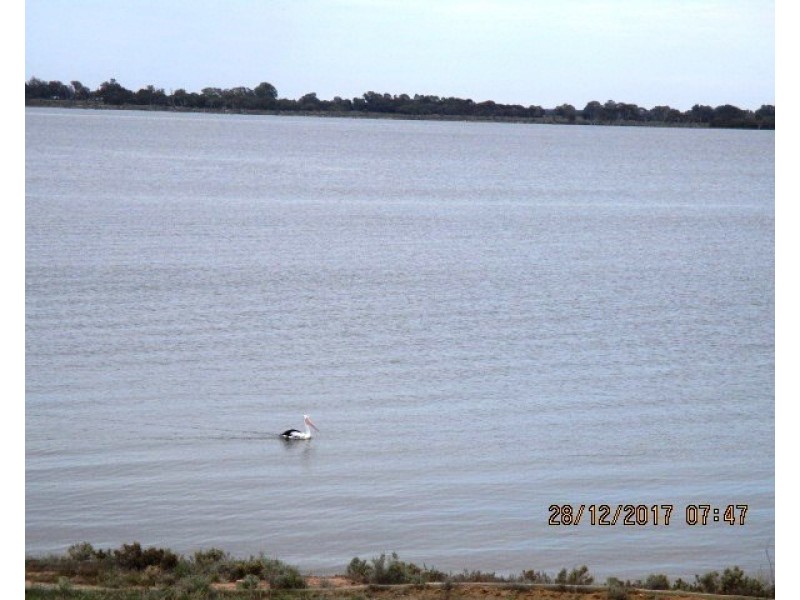 17 Queen Elizabeth Drive, Barmera SA 5345