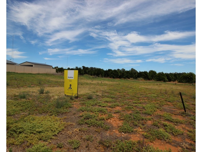 25 Mary Starr Drive, Waikerie SA 5330