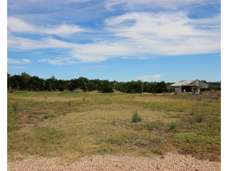 25 Mary Starr Drive, Waikerie SA 5330