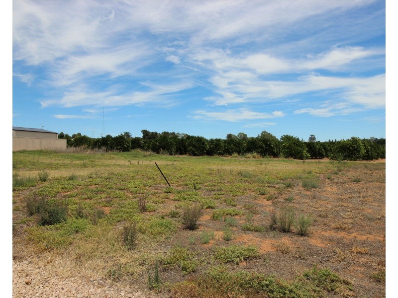 25 Mary Starr Drive, Waikerie SA 5330