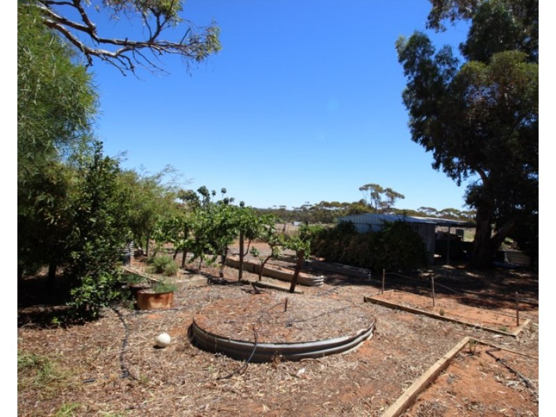 593 Mackintosh Road, Cadell SA 5321