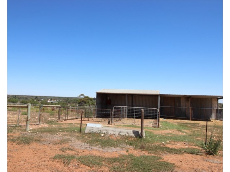 593 Mackintosh Road, Cadell SA 5321