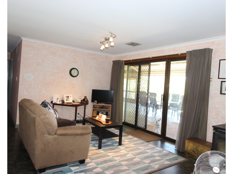 593 Mackintosh Road, Cadell SA 5321