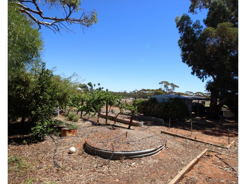 593 Mackintosh Road, Cadell SA 5321