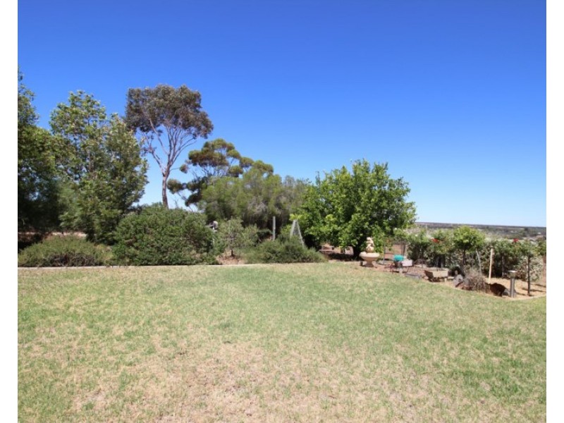 593 Mackintosh Road, Cadell SA 5321