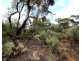 Lot 10 Henry Road, Kingston On Murray SA 5331