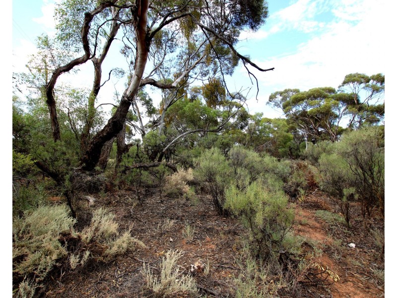 Lot 10 Henry Road, Kingston On Murray SA 5331