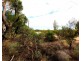 Lot 10 Henry Road, Kingston On Murray SA 5331