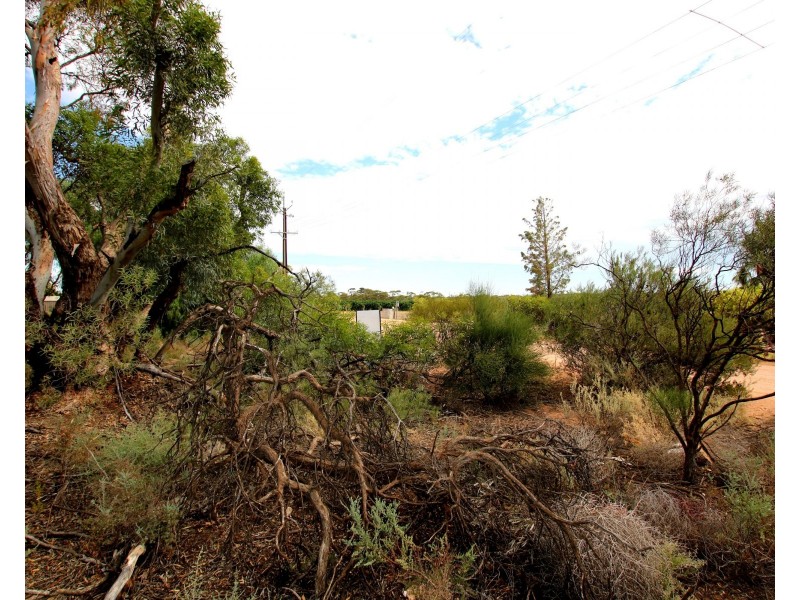 Lot 10 Henry Road, Kingston On Murray SA 5331