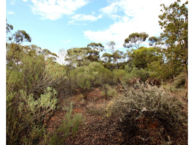 Lot 10 Henry Road, Kingston On Murray SA 5331