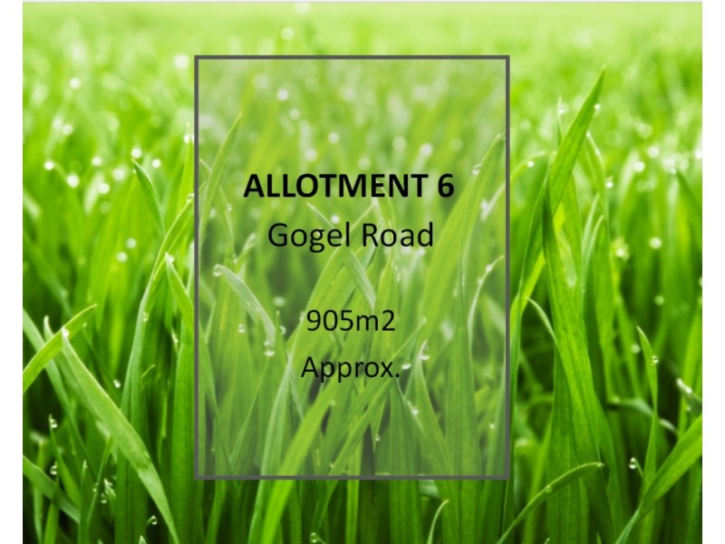 Lot 6 Gogel Road, Moorook SA 5332