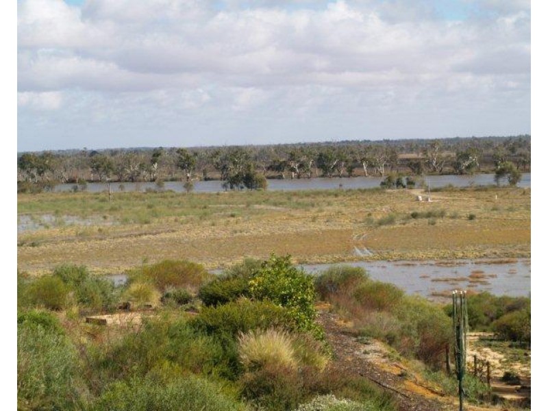 36 Wheatley Road, Loxton SA 5333