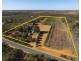 179 Bassham Road, Barmera SA 5345
