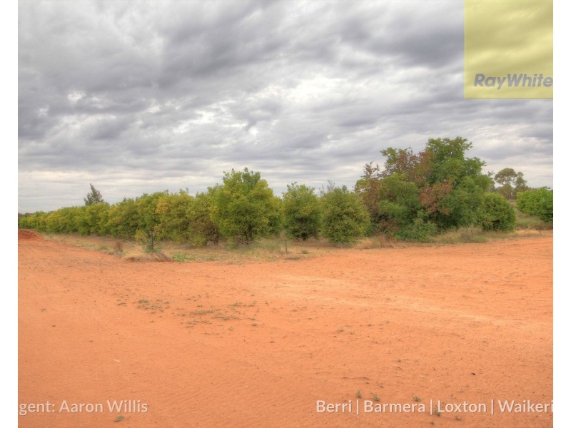 179 Bassham Road, Barmera SA 5345