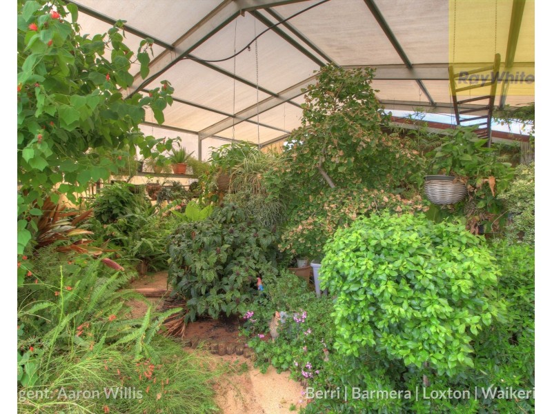 94 Moss Road, Monash SA 5342