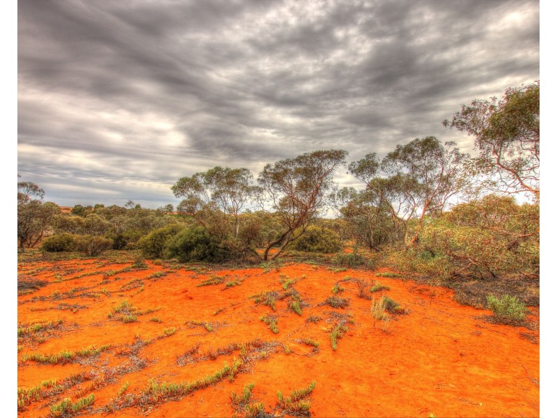 14 Muller Road, Monash SA 5342