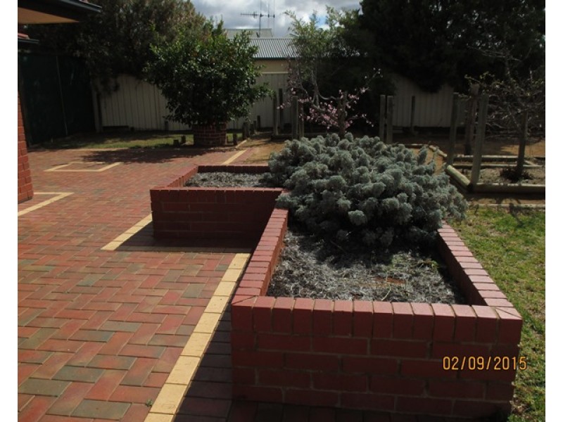 6 Halliday Court, Berri SA 5343