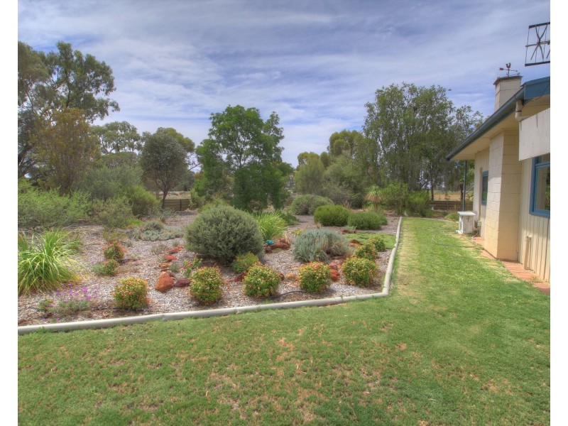 240 Gurra Road, GURRA GURRA VIA, Berri SA 5343