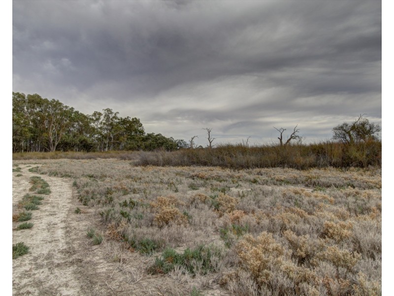 240 Gurra Road, GURRA GURRA VIA, Berri SA 5343