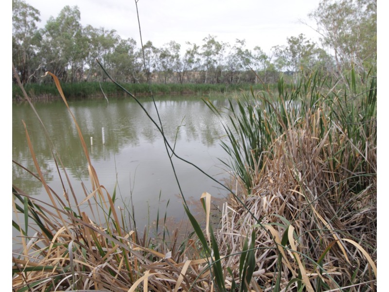 240 Gurra Road, GURRA GURRA VIA, Berri SA 5343