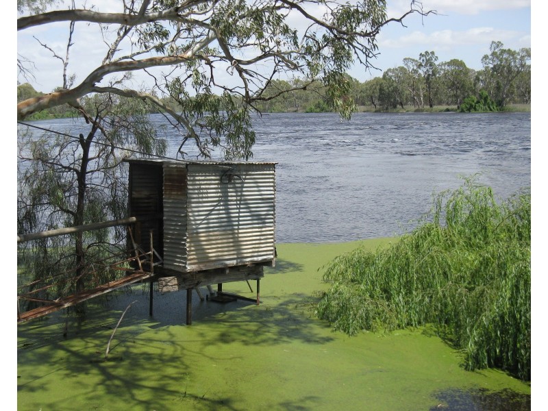 240 Gurra Road, GURRA GURRA VIA, Berri SA 5343