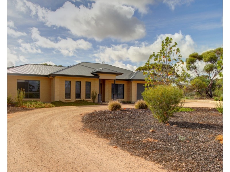 163 Chapple Road, Winkie SA 5343