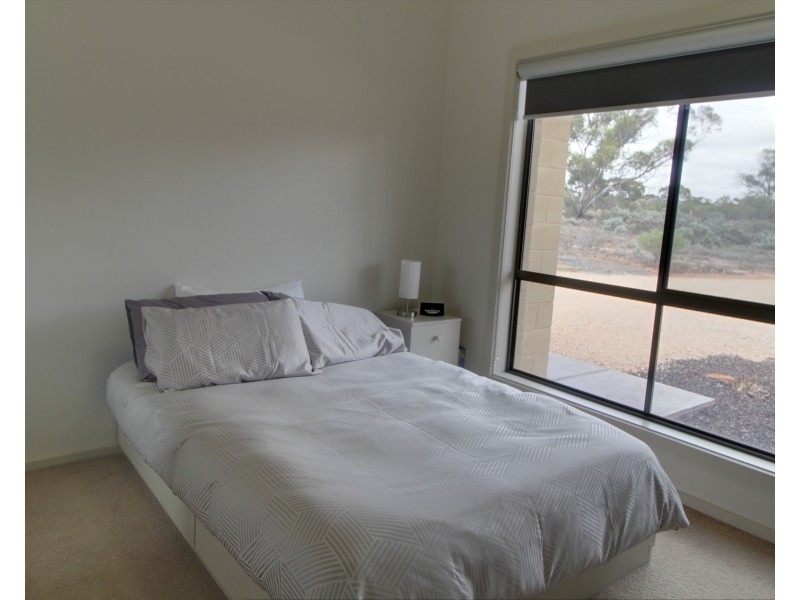 163 Chapple Road, Winkie SA 5343