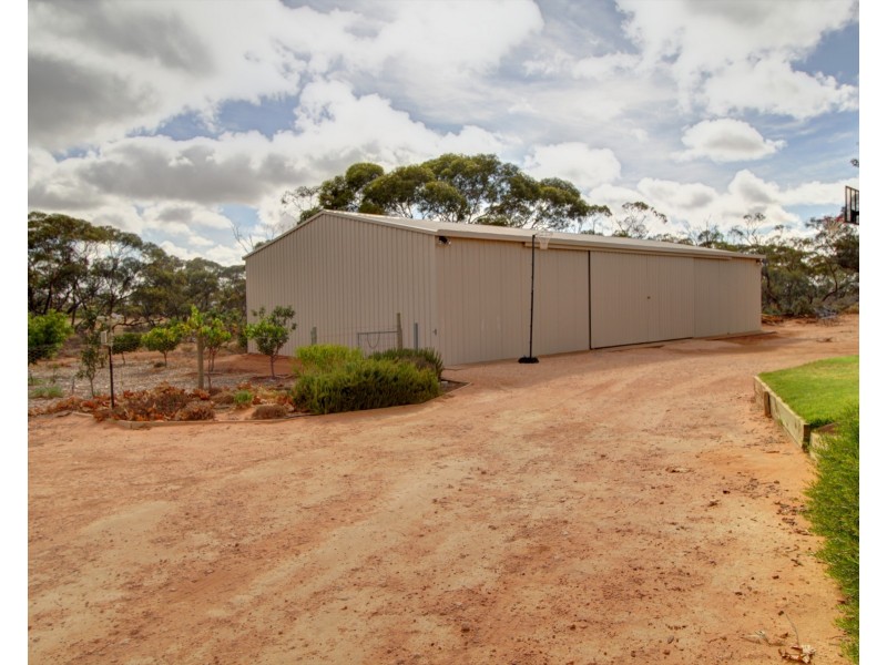 163 Chapple Road, Winkie SA 5343