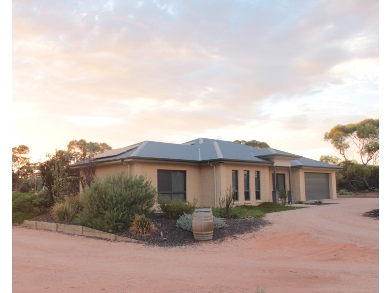163 Chapple Road, Winkie SA 5343