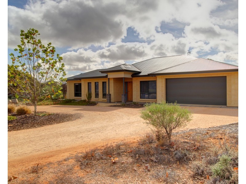 163 Chapple Road, Winkie SA 5343