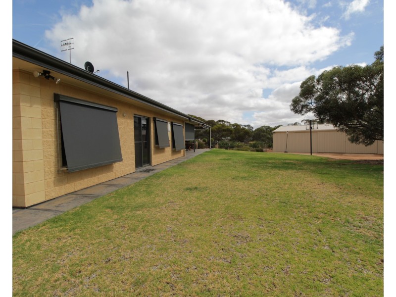 163 Chapple Road, Winkie SA 5343