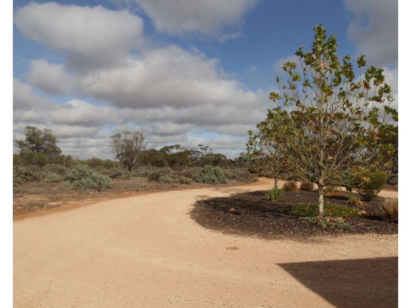 163 Chapple Road, Winkie SA 5343