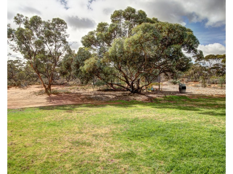 163 Chapple Road, Winkie SA 5343