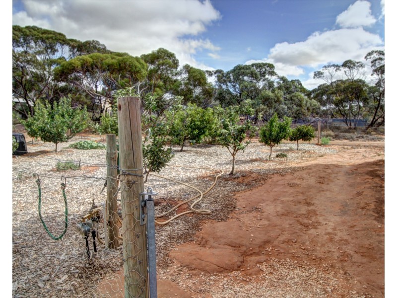 163 Chapple Road, Winkie SA 5343