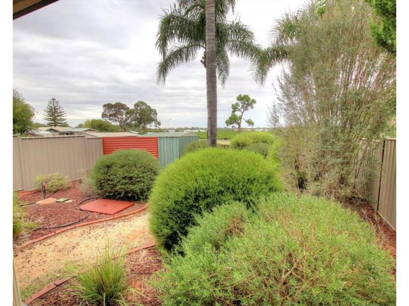 10B Magarey Street, Berri SA 5343