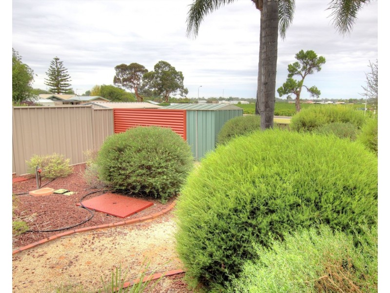 10B Magarey Street, Berri SA 5343