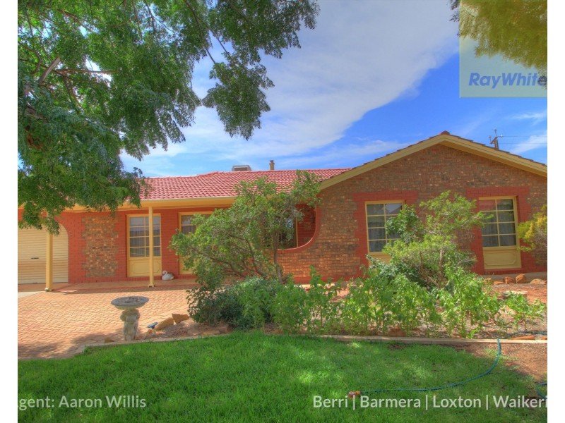 63 Gray Road, Moorook SA 5332