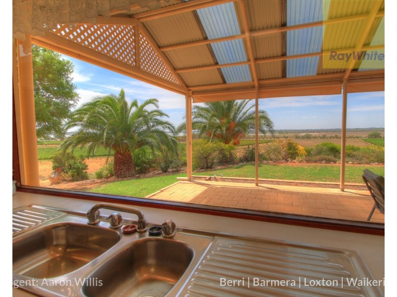 63 Gray Road, Moorook SA 5332