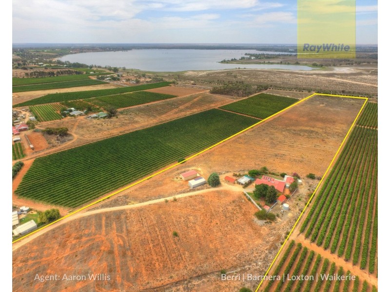 63 Gray Road, Moorook SA 5332