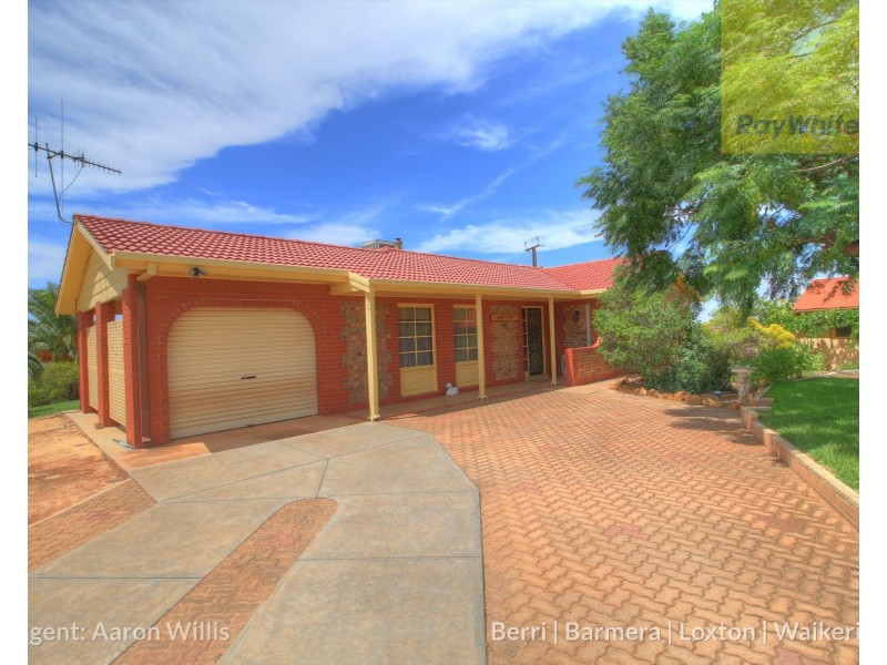 63 Gray Road, Moorook SA 5332