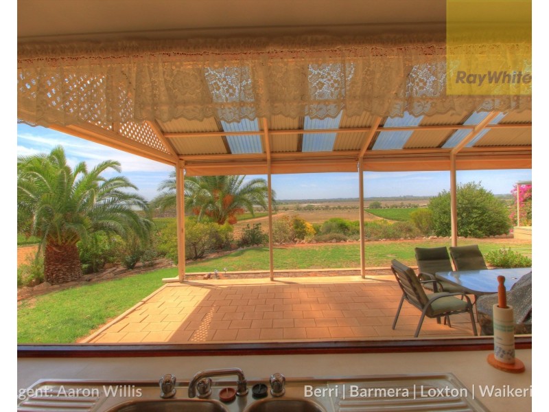 63 Gray Road, Moorook SA 5332