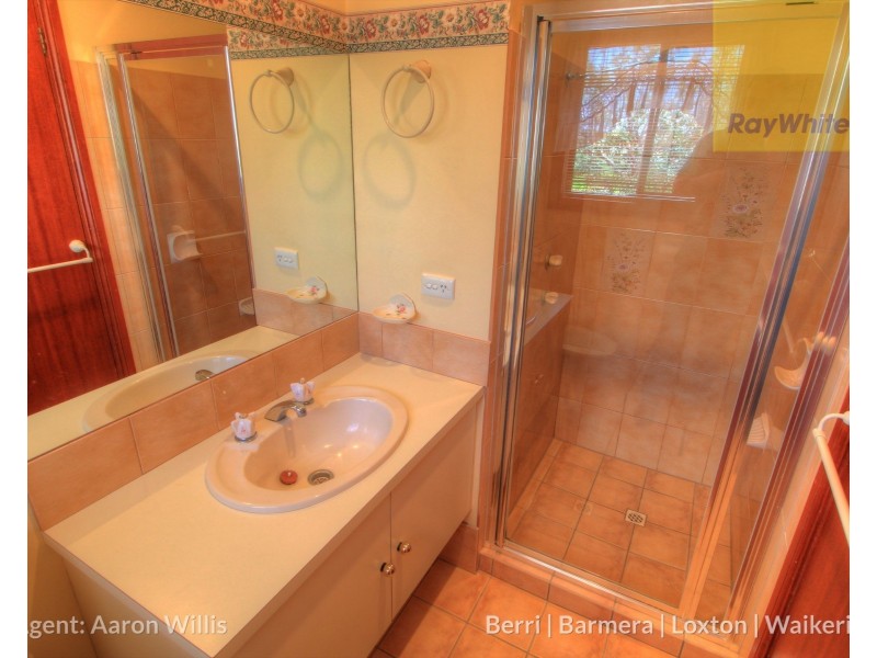 63 Gray Road, Moorook SA 5332