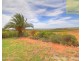 63 Gray Road, Moorook SA 5332