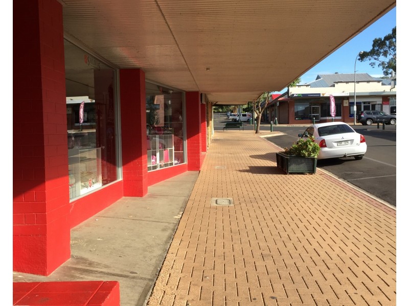 9 William, Berri SA 5343