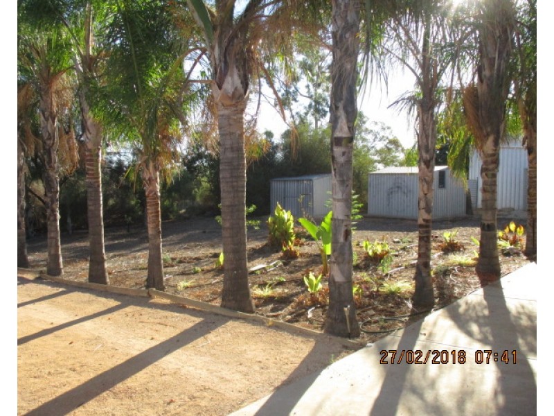 14 Cockin Road, Barmera SA 5345