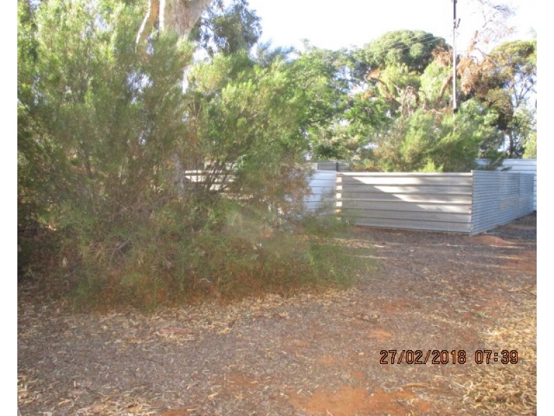 14 Cockin Road, Barmera SA 5345