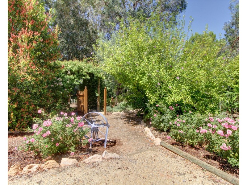 246 Bookmark Avenue, Renmark SA 5341